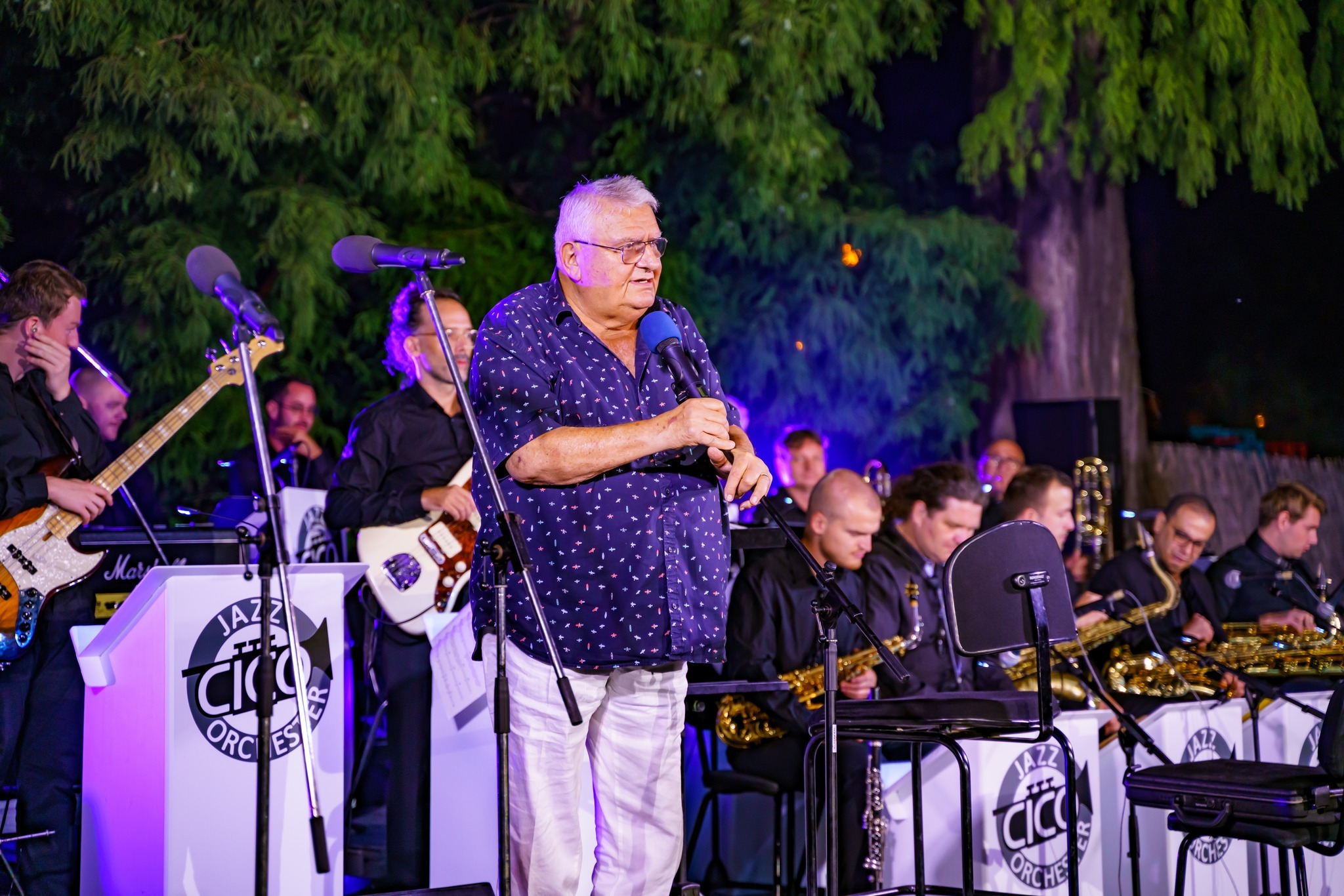 Craiova-Jazz-Festival 1.jpg Craiova-Jazz-Festival 1.jpg